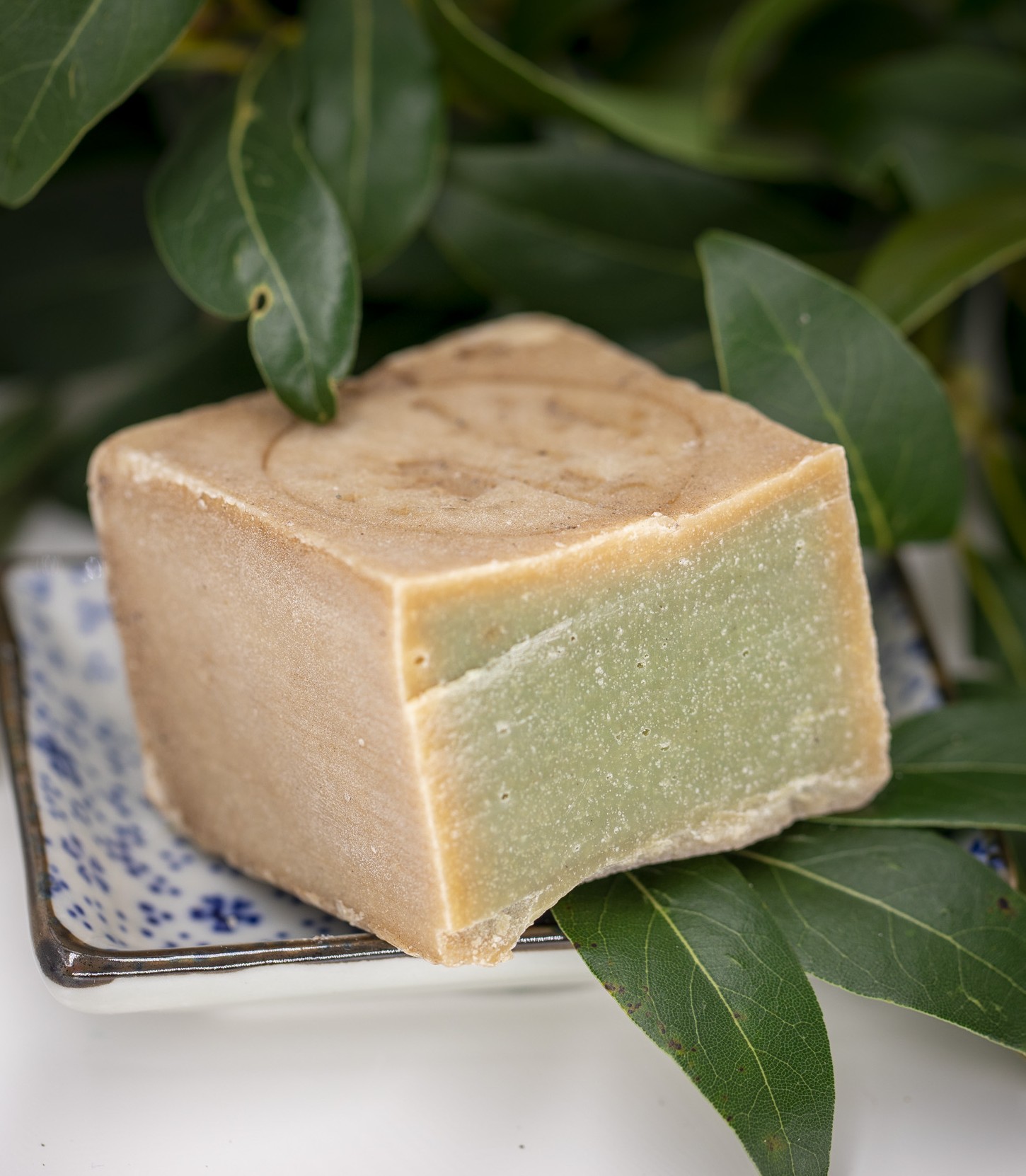 Laurel berries and a thread of laurel oil, the ingredient behind Aleppo soap